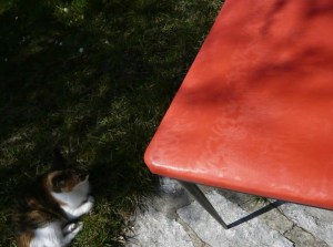 6 Chaises rges 60's 2